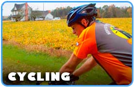 cyclinghome cyclinghome